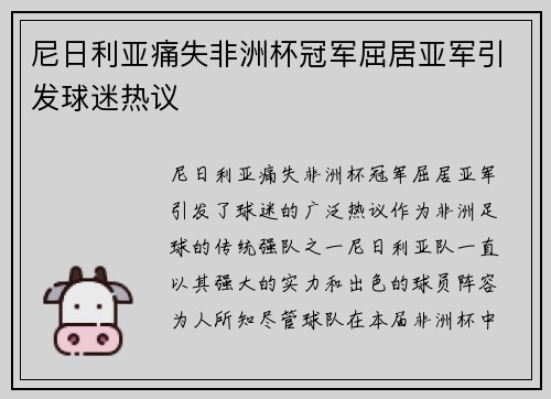 尼日利亚痛失非洲杯冠军屈居亚军引发球迷热议